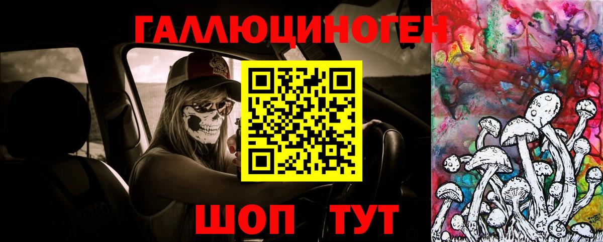 Галлюциногенные грибы GOLDEN TEACHER  Вход с VPN  Шатура  Галлюциногенные грибы GOLDEN TEACHER 